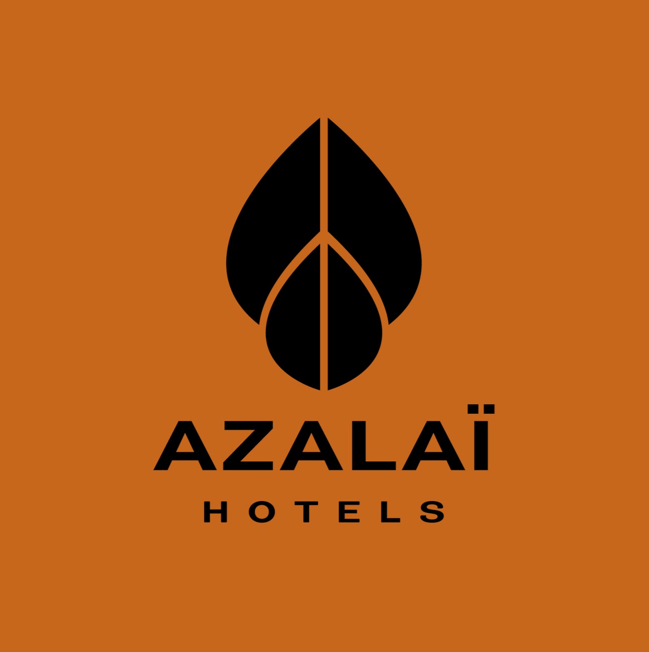 Azalai Hotels - Partenaire African Heritage